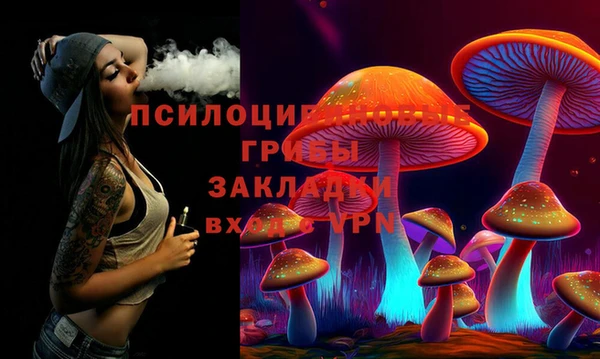 a pvp Алексин