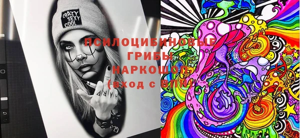 ешки Алзамай