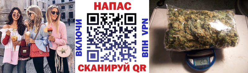 Канабис планчик Жуковский